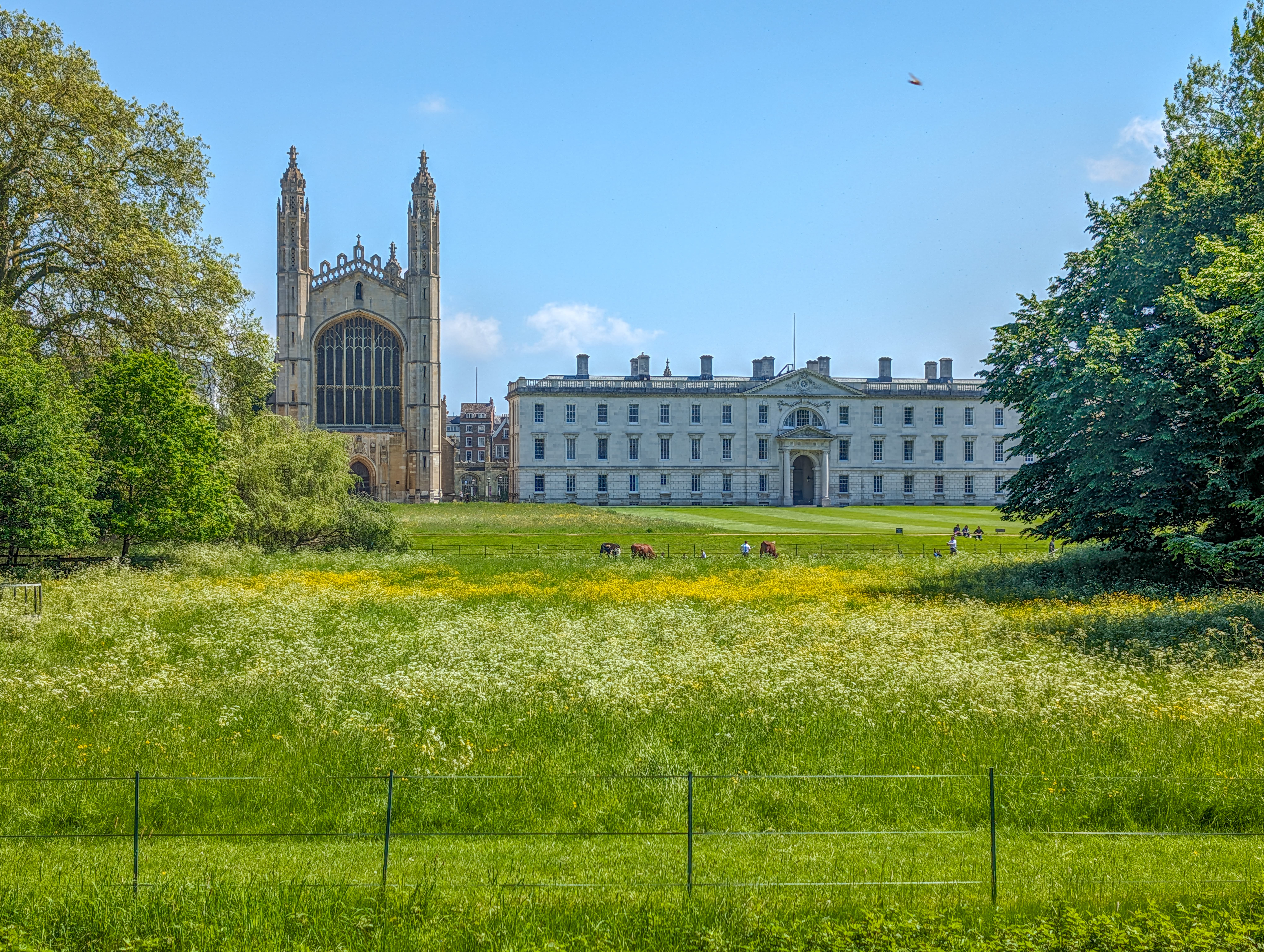 Cambridge 2